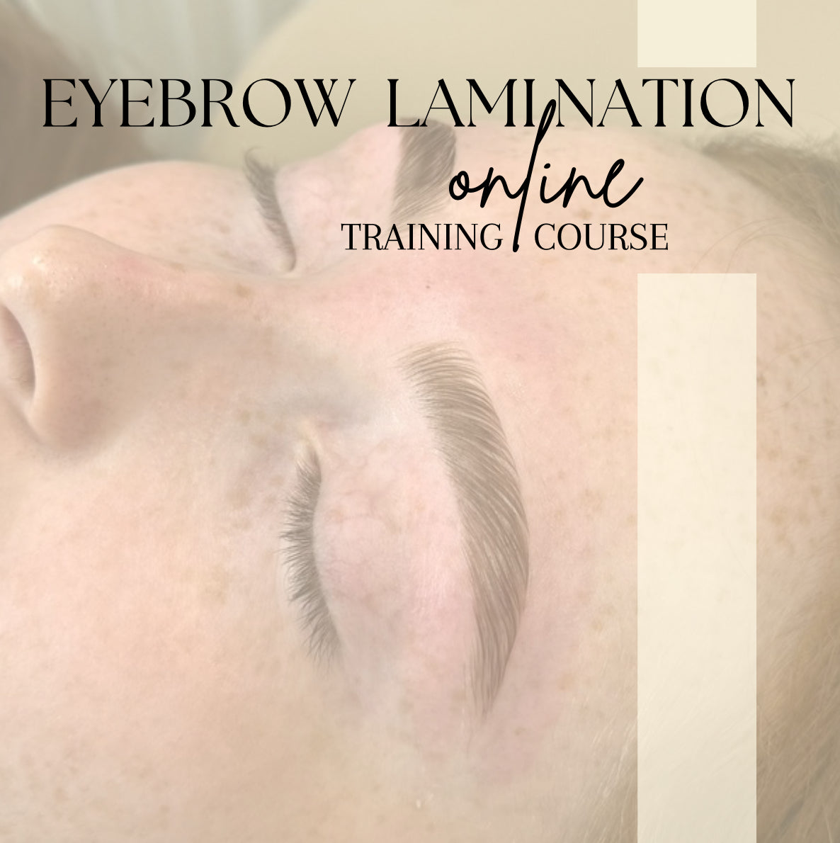 Eyebrow Lamination Online course