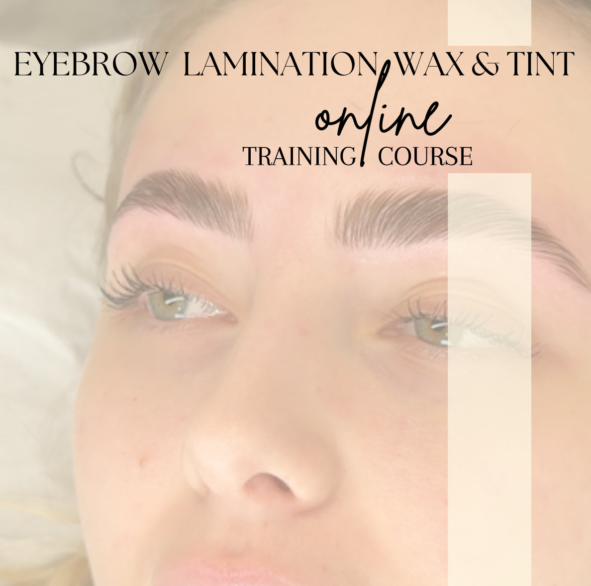 Eyebrow Lamination, Wax & Tint online course