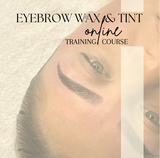 Eyebrow Wax and Tint online course