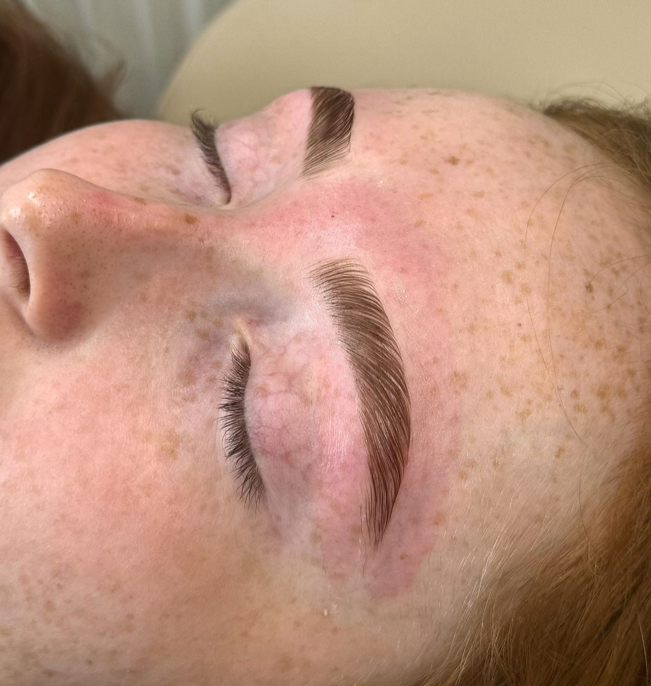 Eyebrow Lamination, Wax & Tint online course